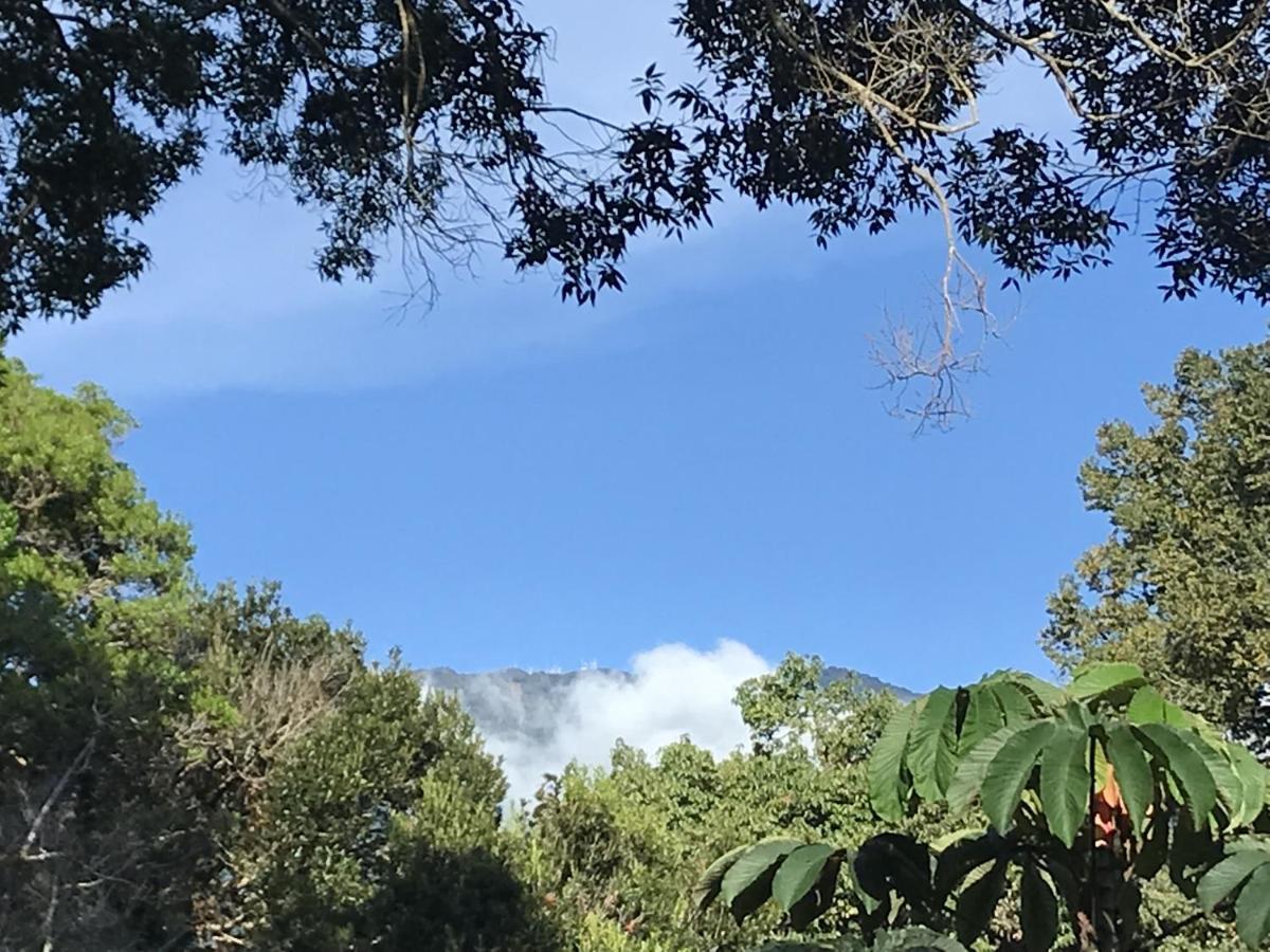 Casitas Vista Verde Bajo Boquete Екстер'єр фото