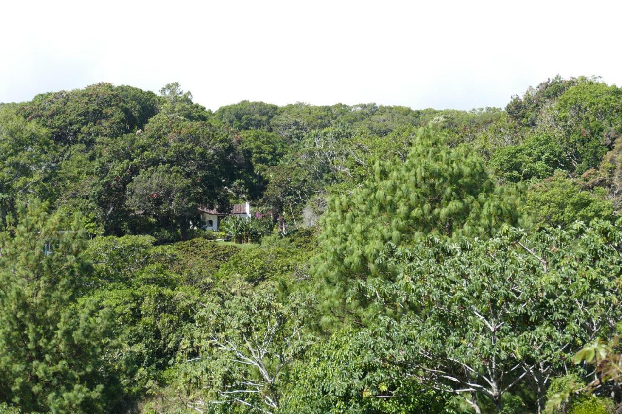 Casitas Vista Verde Bajo Boquete Екстер'єр фото