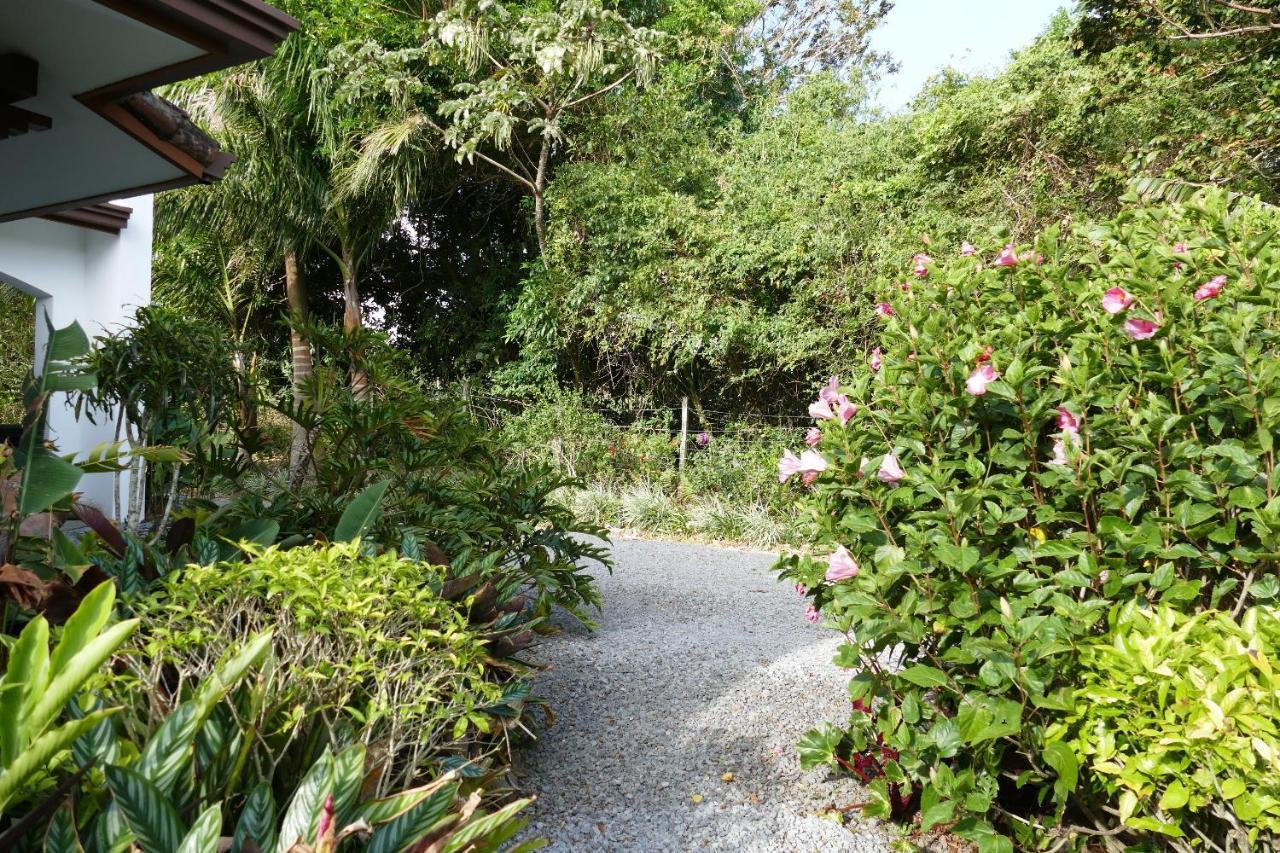 Casitas Vista Verde Bajo Boquete Екстер'єр фото