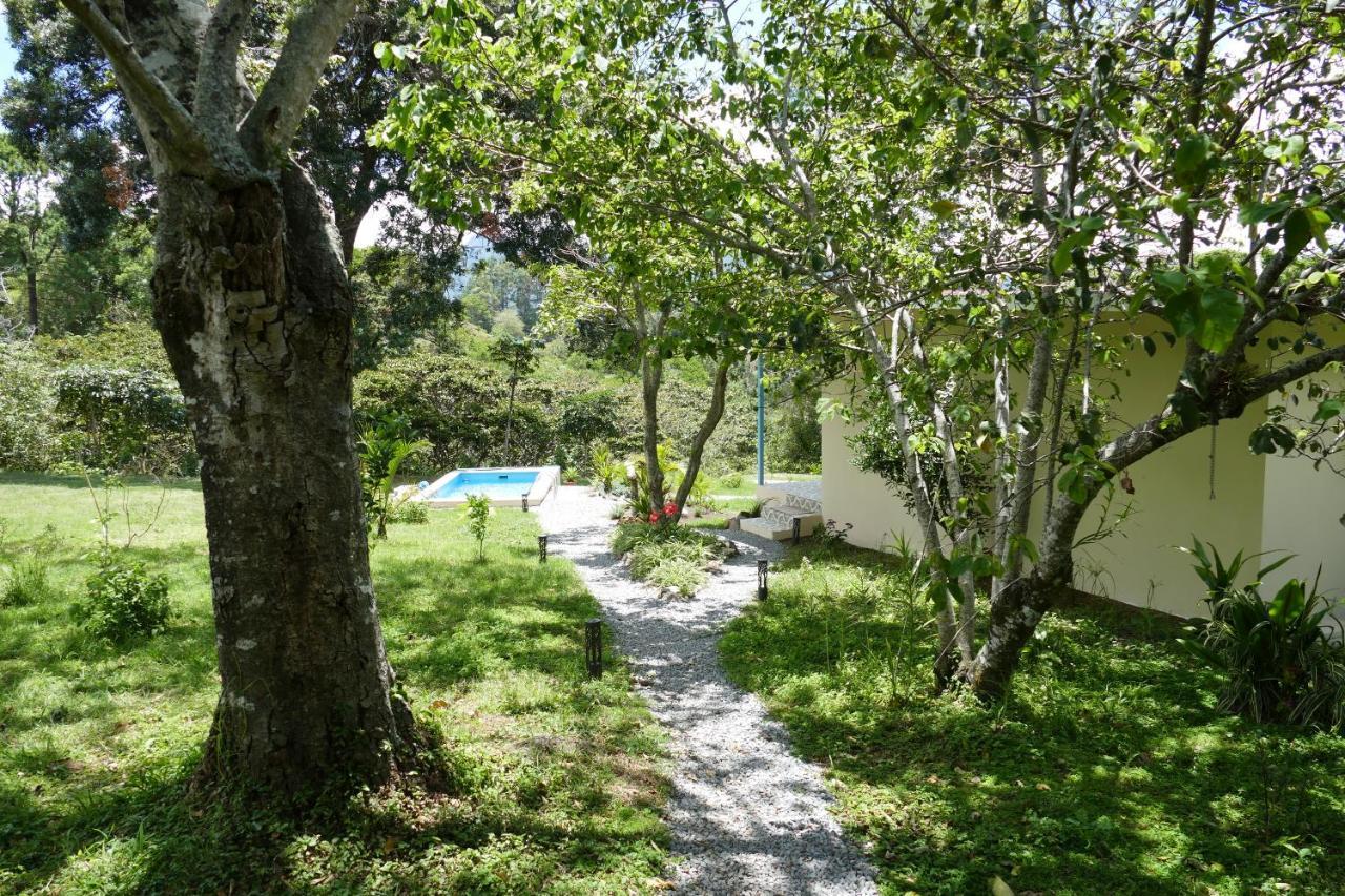 Casitas Vista Verde Bajo Boquete Екстер'єр фото