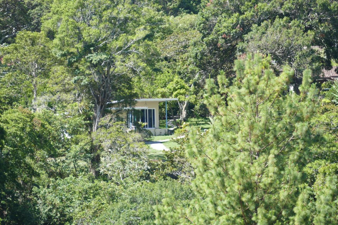 Casitas Vista Verde Bajo Boquete Екстер'єр фото