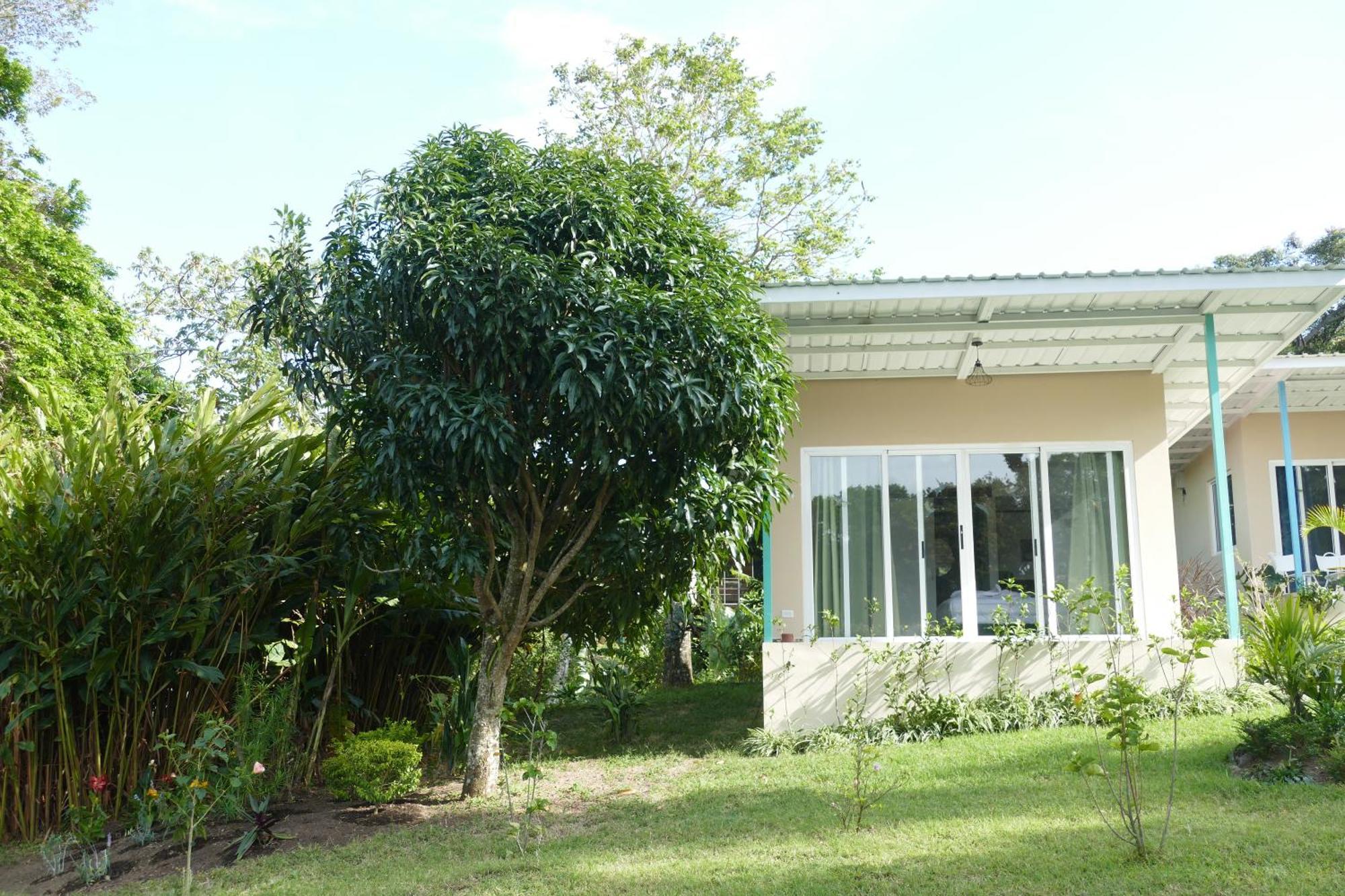 Casitas Vista Verde Bajo Boquete Екстер'єр фото