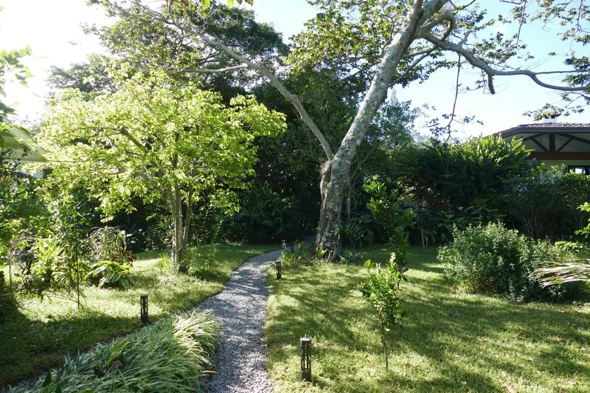 Casitas Vista Verde Bajo Boquete Екстер'єр фото