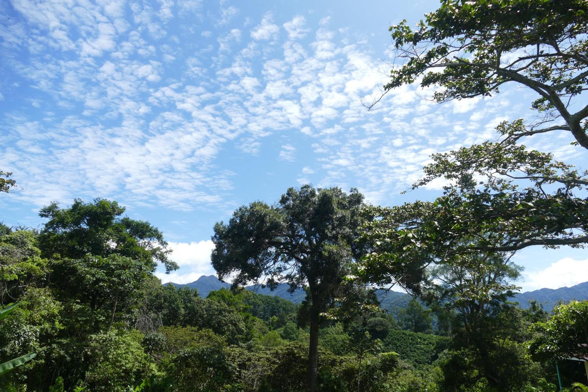 Casitas Vista Verde Bajo Boquete Екстер'єр фото